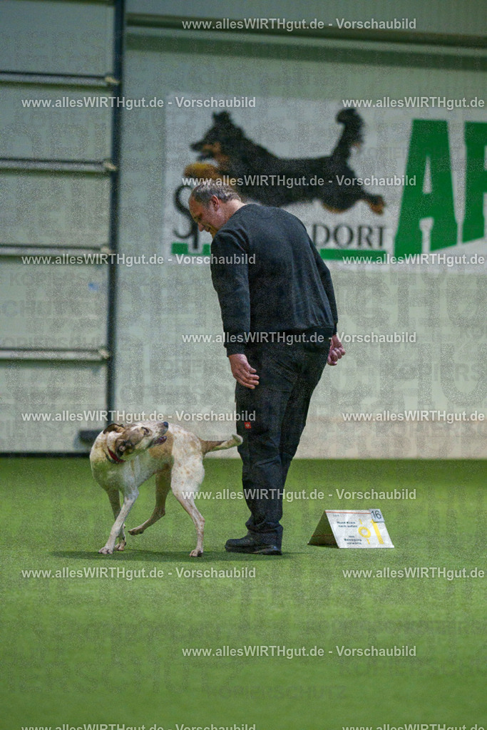 7R505335 | Professionelle Tierfotografie in Mönchengladbach von Daniel Wirth (allesWIRTHgut). Liebevolle & natürliche Bilder von Hunden & Katzen für unvergessliche Erinnerungen.