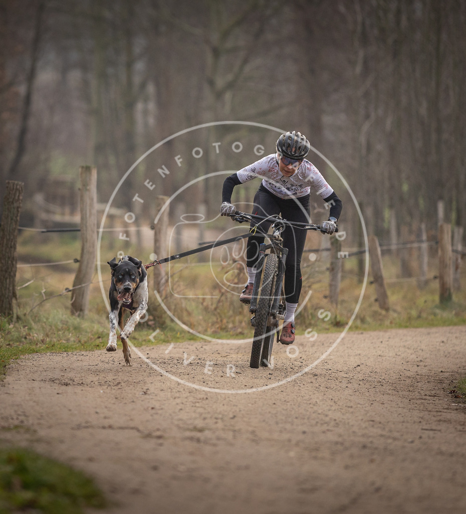 Pfotenfotografie_DV3A1590 | Hundefotografie, Tierfotograf, Pfotenfotografie, Fotoshooting Hund, Hunde Portrait, Hundesport, Hundeportraits, Heideshooting, Hunde, Sportfotograf, Hundefotograf, Turnierhundsport, THS,  - Realisiert mit Pictrs.com