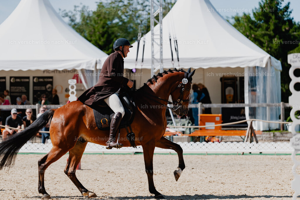 Gernot25_FHC2025-08294 | working equitationturnier fotograf videograf stoibphotography marixx film working equitation deutschland reitsport turnierfotografie eventfotografie equestrian events