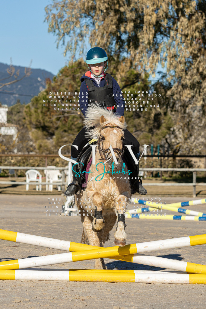 IMG_7813 | s-jay-photography - Realisiert mit Pictrs.com