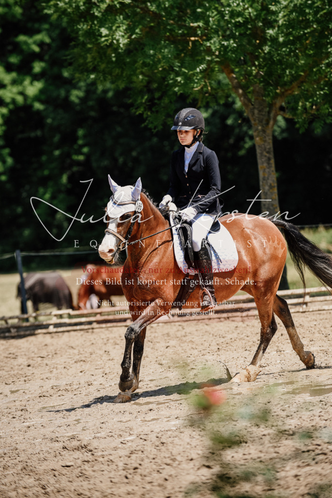 DSC_1944 | Pferde- und Turnierfotografie in Westsachsen. Pferdeportraits, Auftragszeichnungen und intuitive Kunst.