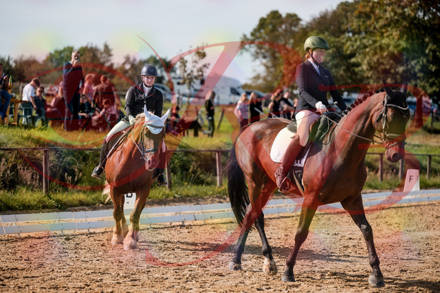 2026_10_03_Siefer-Hof_130327_Z63_65658765 | Professionelle Reitsport-, Turnier- und Eventfotografie von Robert Broda. Galerien mit ausgewählten und bearbeiteten Bildern direkt online ansehen und bestellen.