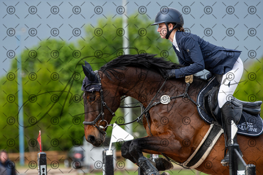 KPT_0235 | andre_photographic