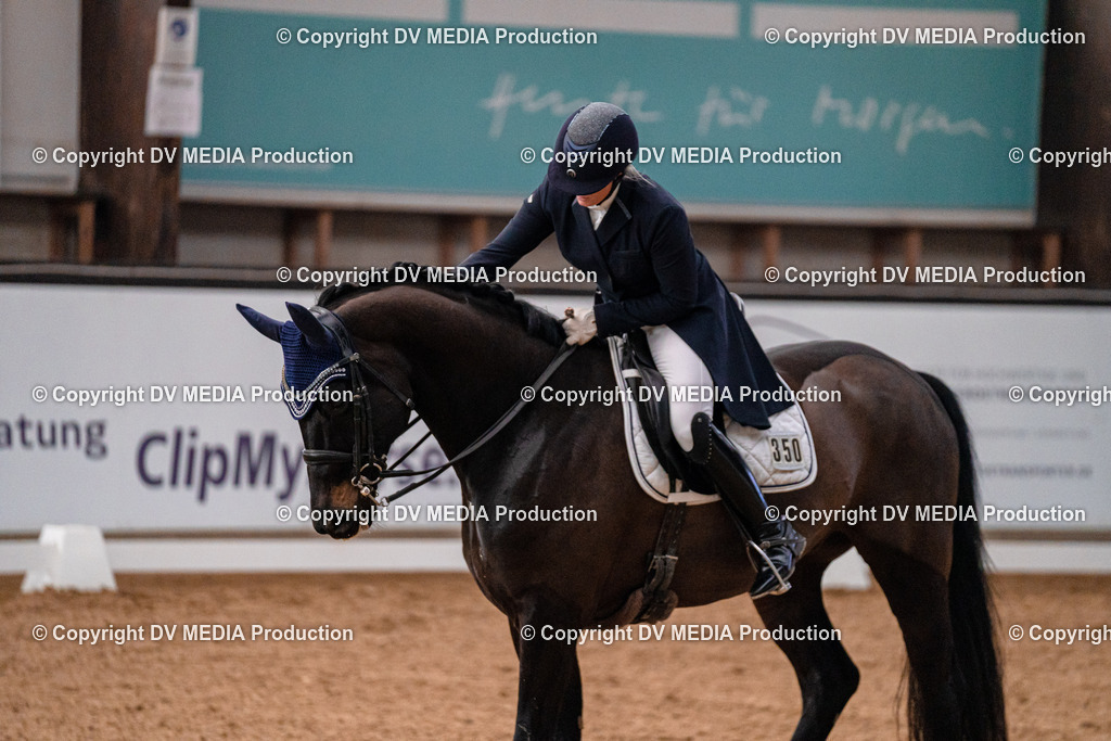 Kranichstein Tag 1-419 | dv-media-shop - Realisiert mit Pictrs.com