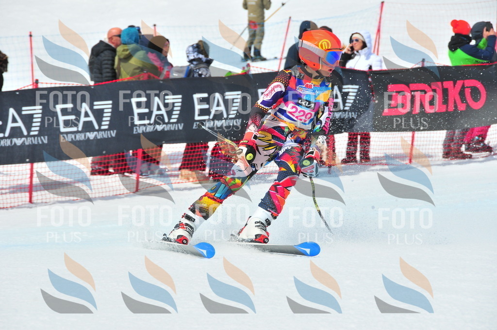 DSC_5857 | holidayphoto