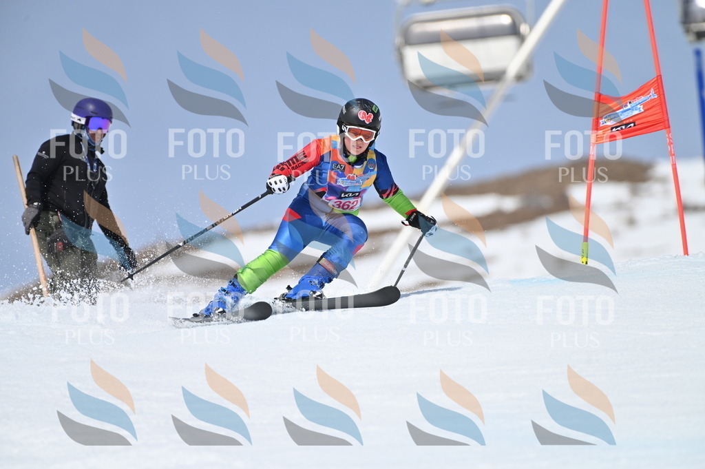 BGV_3868 | holidayphoto