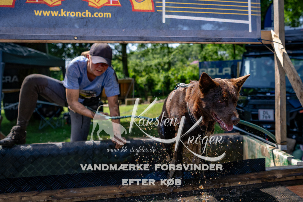 1252_ZZ90289 | kk-dogfotos