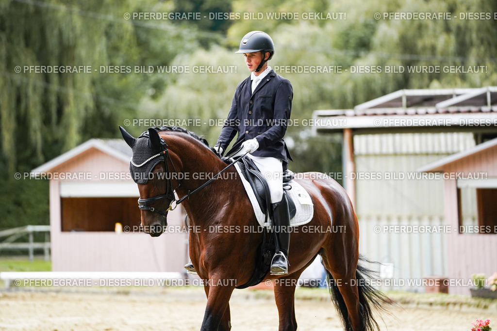 DSC08351 | Pferdegrafie