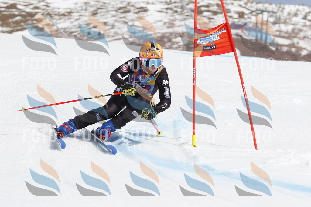 _U3G1835 | holidayphoto