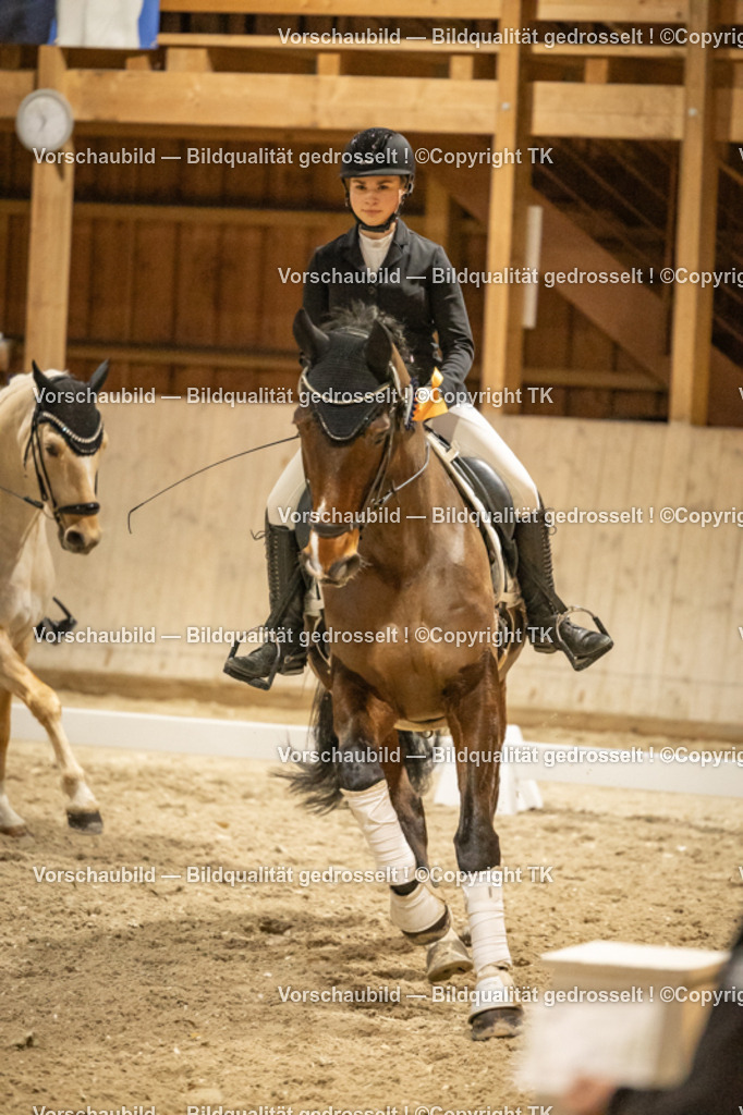 _D5A0461 | Emotionale Pferde- & People-Fotografie rund um Heidelberg, Leimen & Umgebung. Natürliche Fotos von Pferd, Mensch & Familie. Jetzt Termin sichern!