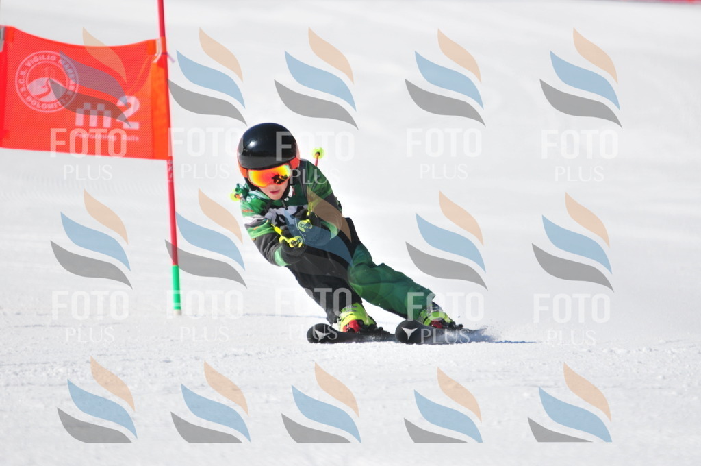 C3154 | holidayphoto