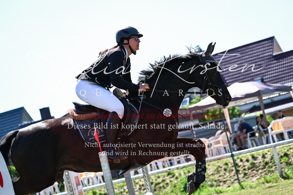 DSC_1633 | Pferde- und Turnierfotografie in Westsachsen. Pferdeportraits, Auftragszeichnungen und intuitive Kunst.