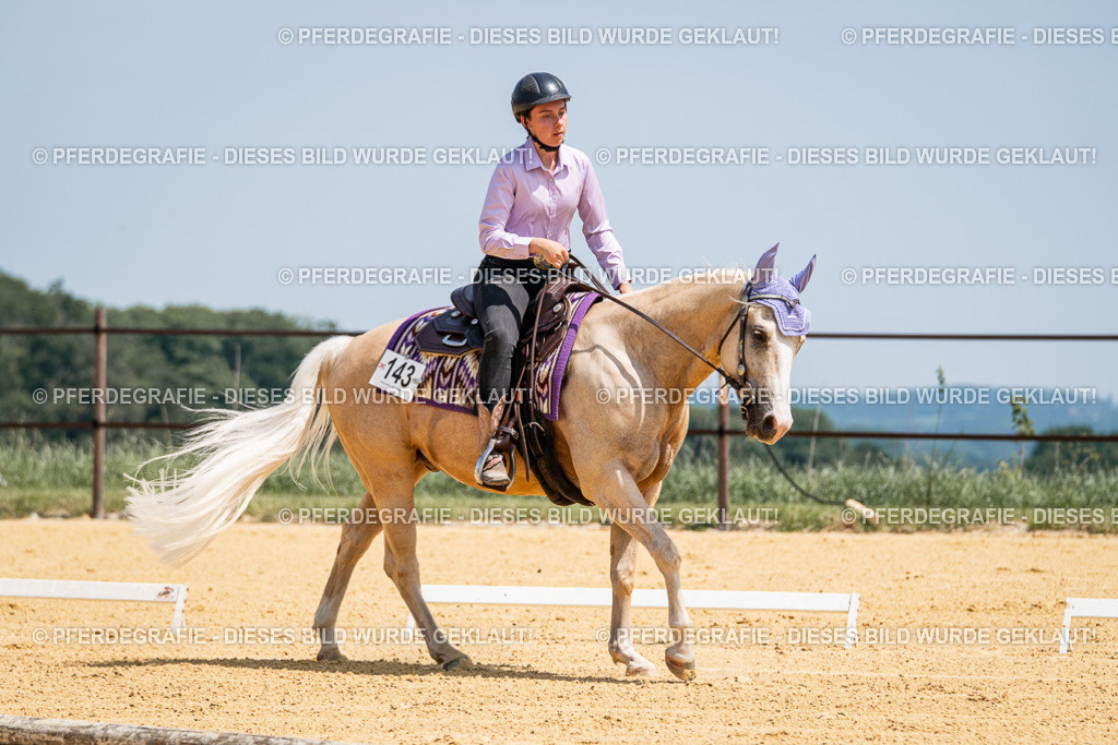 DSC01165 | Pferdegrafie