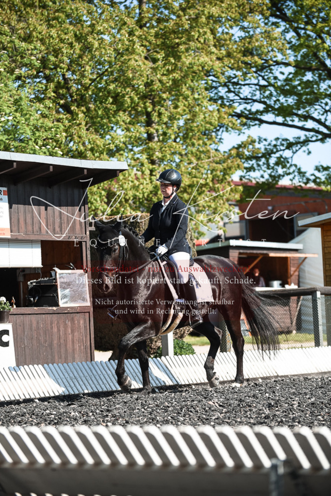 DSC_8613 | Pferde- und Turnierfotografie in Westsachsen. Pferdeportraits, Auftragszeichnungen und intuitive Kunst.