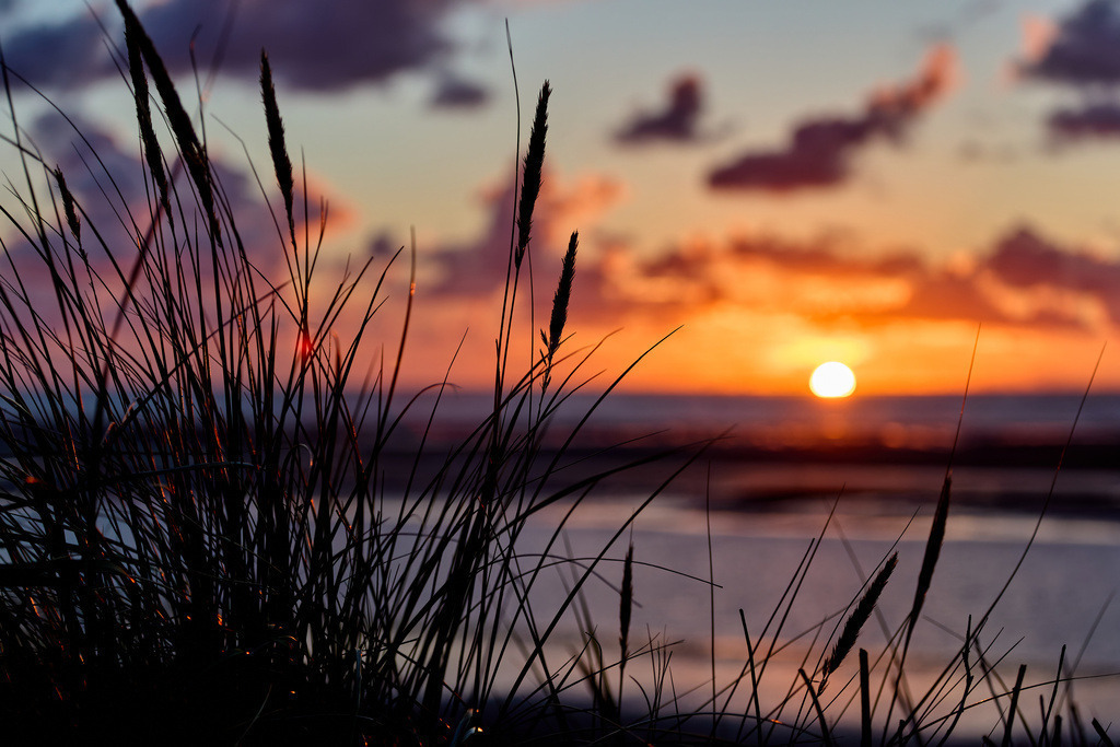 Abendsonne über Nordsee 2 | kleinen-fotografie