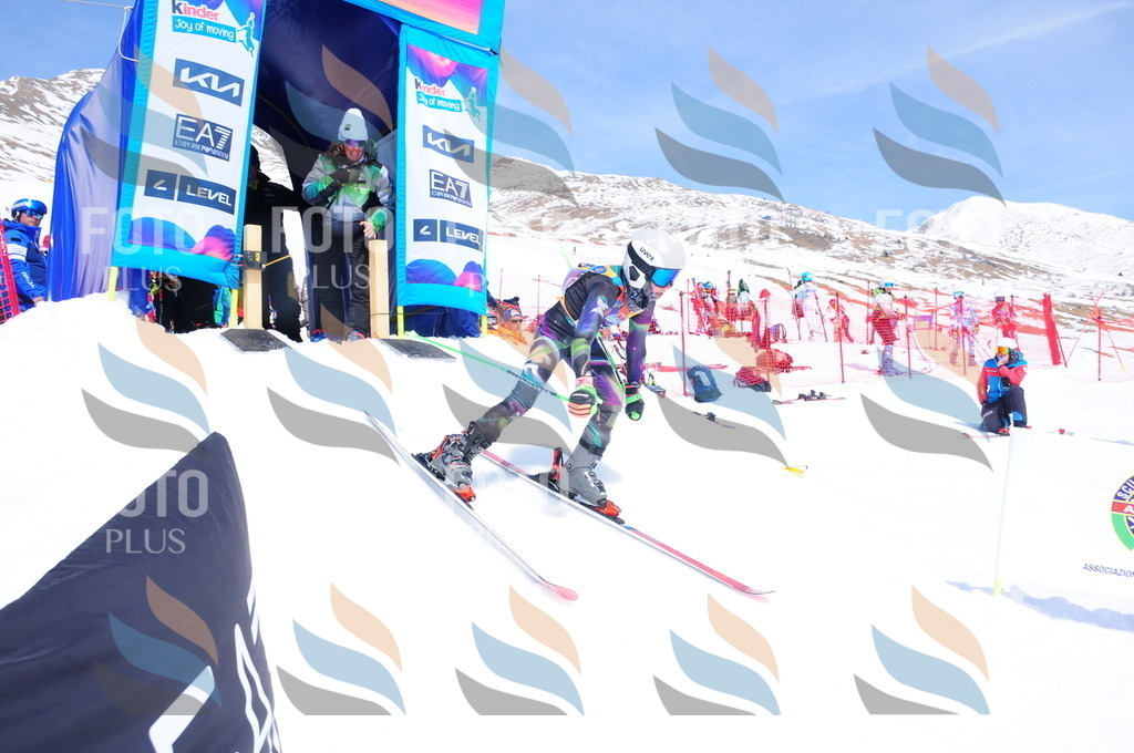 DSC_6950 | holidayphoto