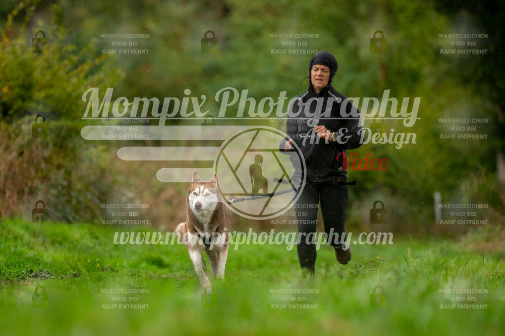 TSB_2023_E6_Canicross-195 | PayLife