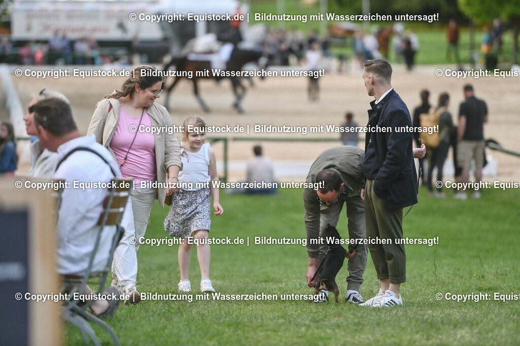 D78_3369 | equistock