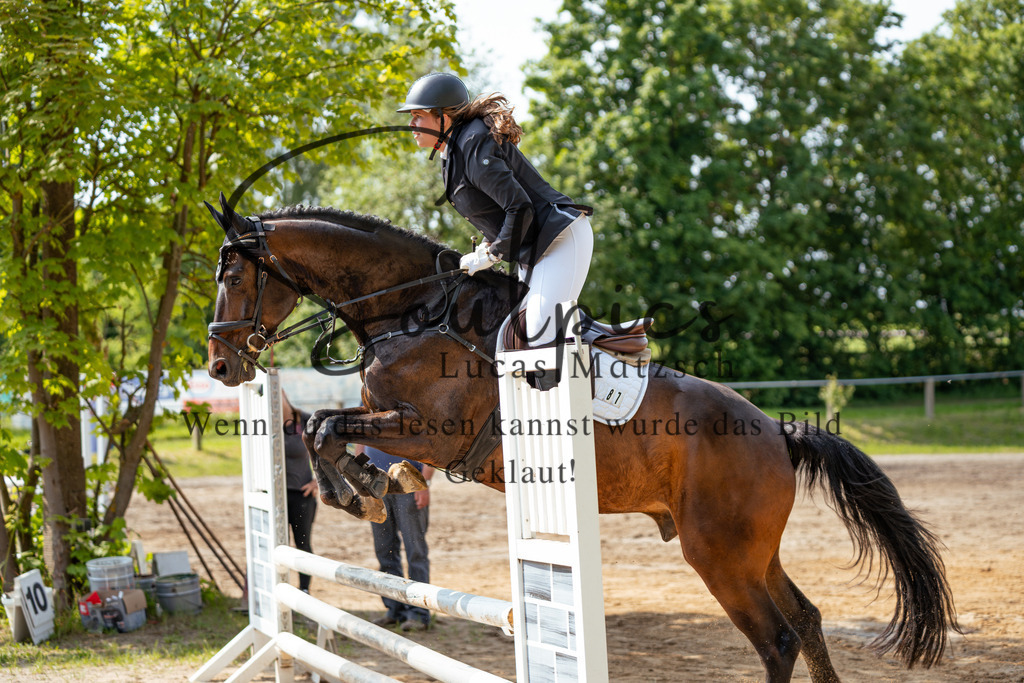 A7507417 | Turnier/Reitfotograf