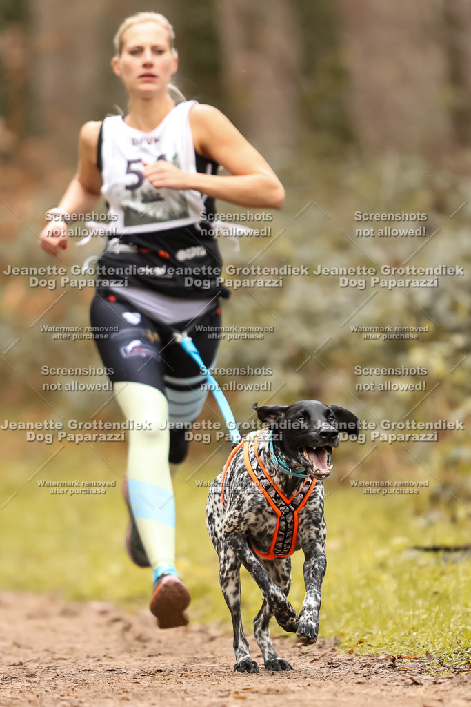 Dog Paparazzi - Speedhunter Mannheim  2025-154 | Dog Paparazzi Jeanette Grottendiek Fotografie & Videografie