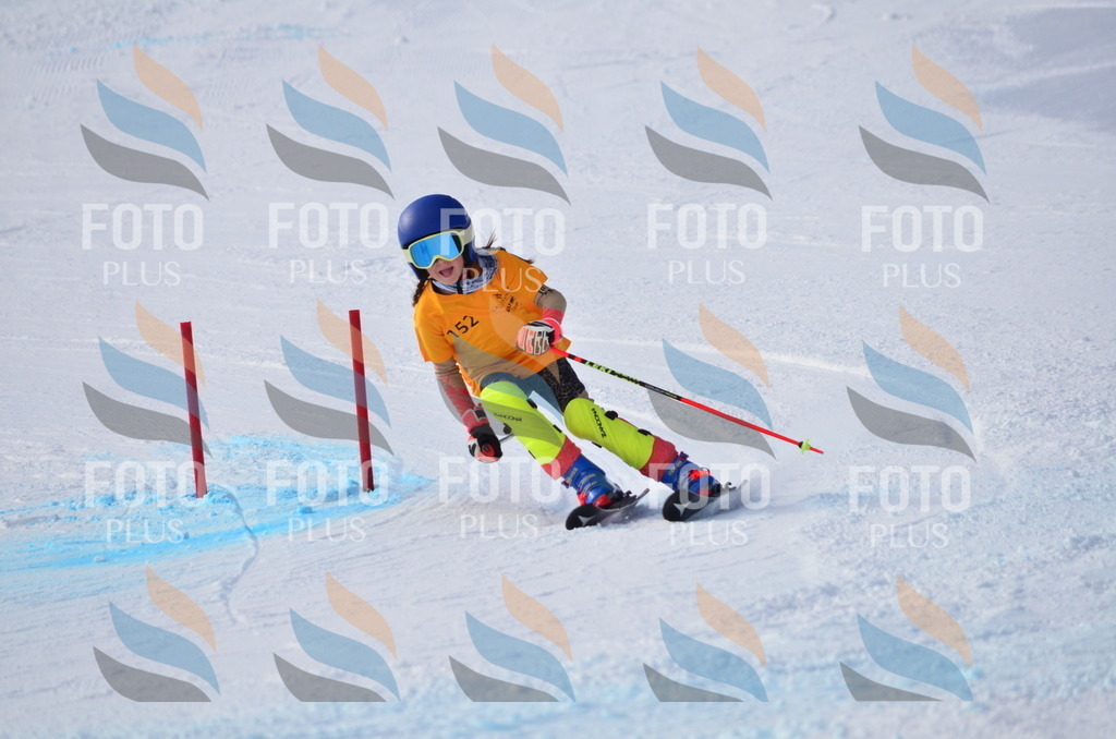 C7772 | holidayphoto