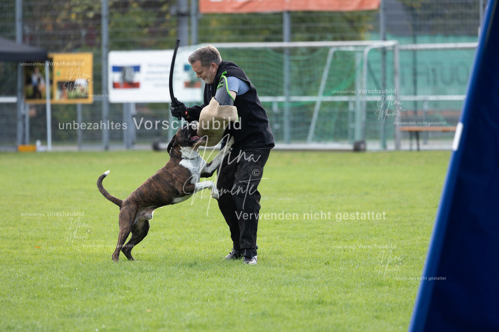 _16A6553 | Einzigartige Fotos von Hunden & Menschen –Actionfotos, Portraits, Vereinsaufnahmen & Paarshootings – authentisch, lebendig & mit Herz.