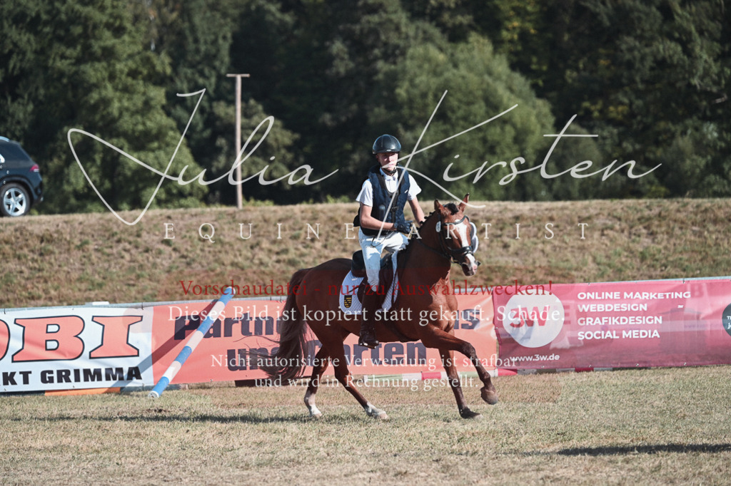 DSC_8896 | Pferde- und Turnierfotografie in Westsachsen. Pferdeportraits, Auftragszeichnungen und intuitive Kunst.