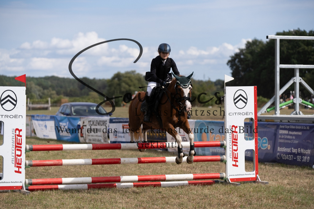 A7V08777 | Pferdefotograf