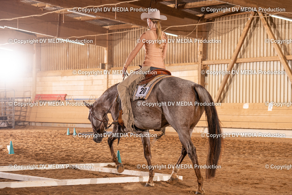 NID00819 | dv-media-shop - Realisiert mit Pictrs.com