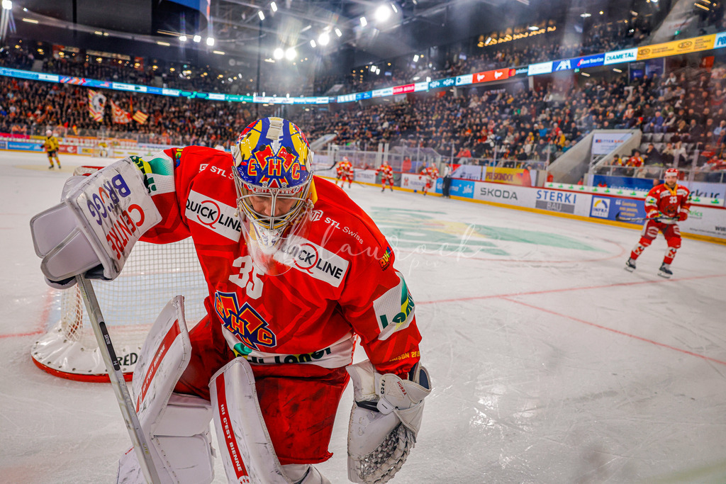 EHCB vs SCB 20260110_wb-3632 | Sportbilder, Sportfotograf, Hochzeits- und Eventfotografin, Flugshows, Portraits und Tiershooting, Aviation, Downhill, Nationalleague, Swissleague, International