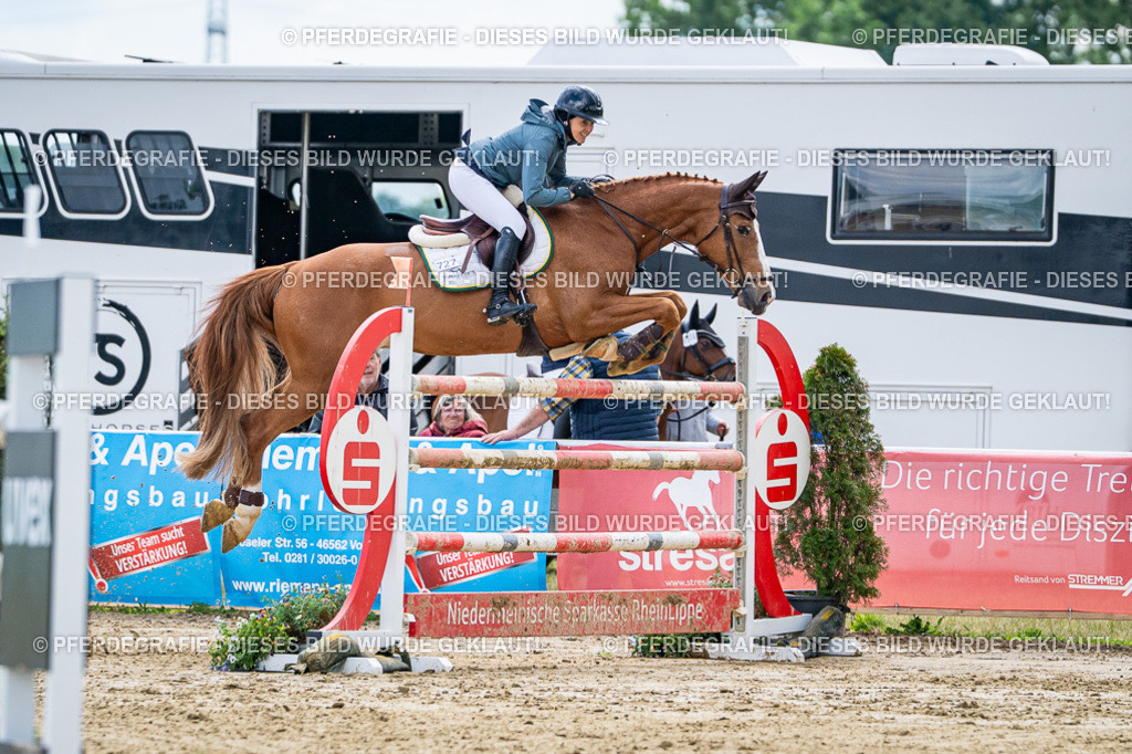 DSC05893 | Pferdegrafie