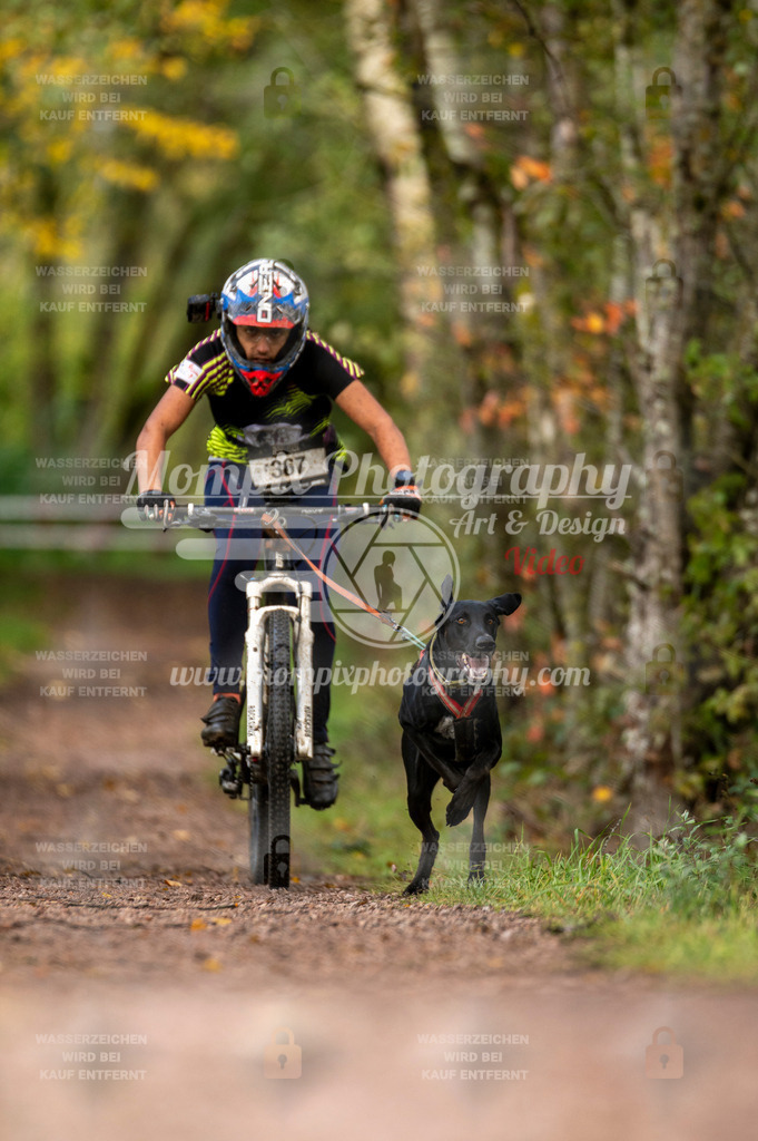 TSB_2023_E4_Bike-24 | PayLife