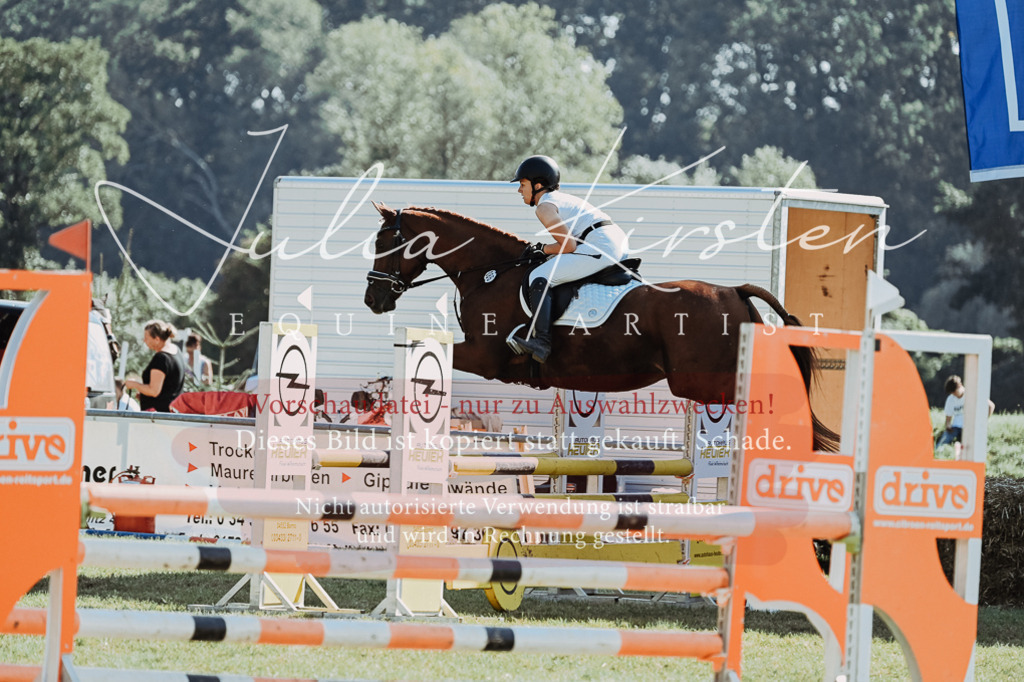 DSC_5666 | Pferde- und Turnierfotografie in Westsachsen. Pferdeportraits, Auftragszeichnungen und intuitive Kunst.