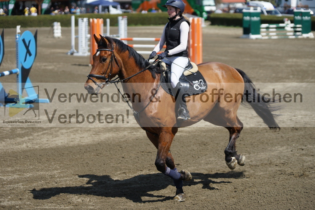 DSC02888 | equestrian-live-com