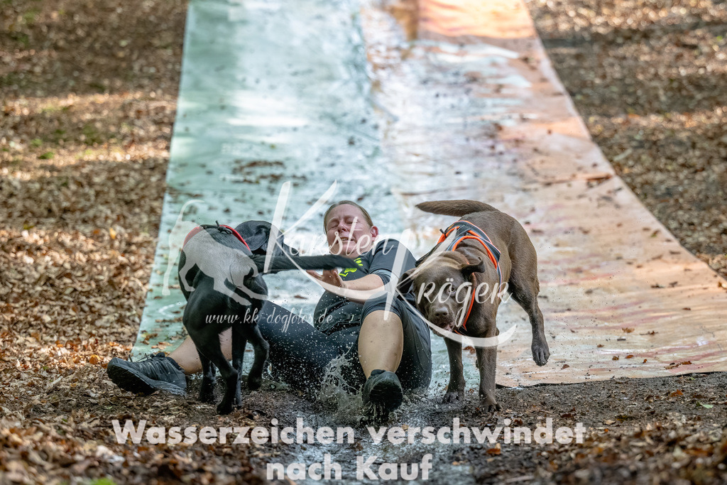 1144_ZZ92330-Bearbeitet | kk-dogfotos