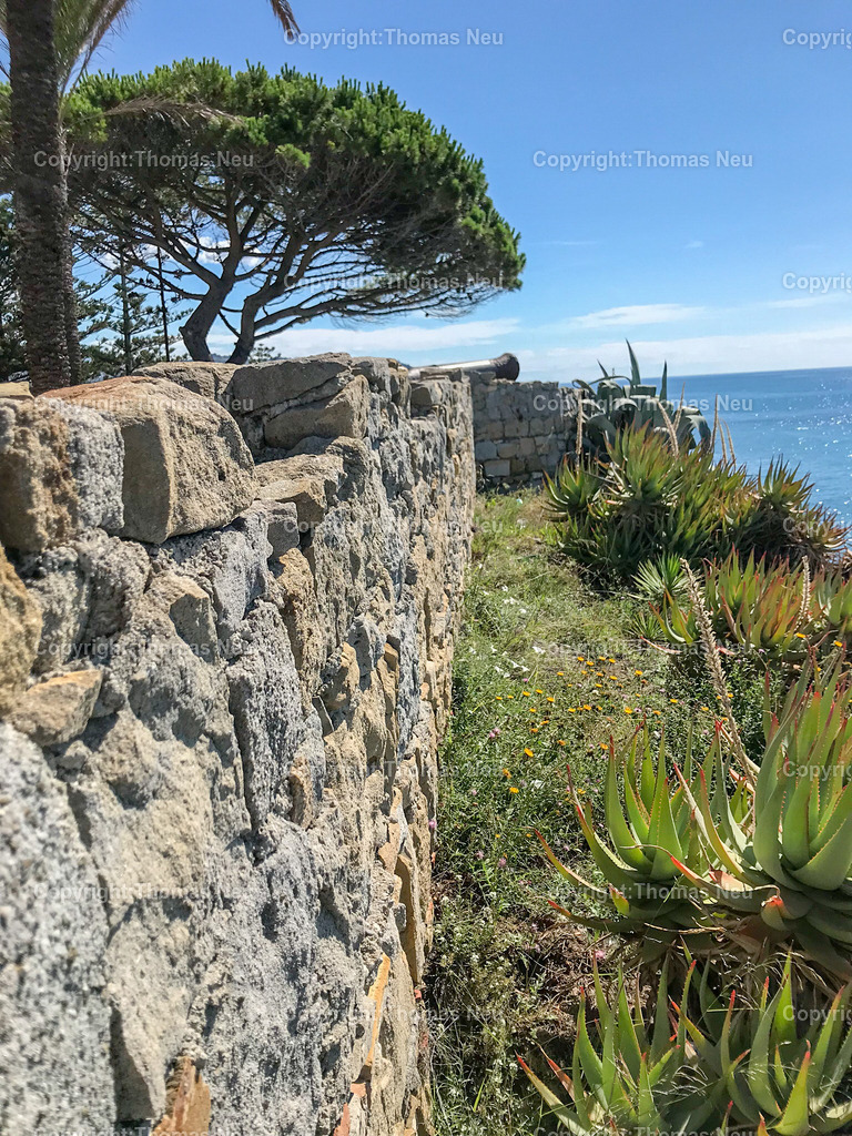 0F3FBE40-04AD-4F97-970D-A44B40FA5353 | ,, Bild: Thomas Neu