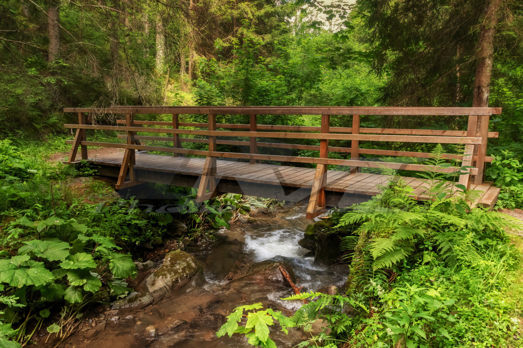 Entlang der Graggerschlucht | Das gewaltige Rauschen des Gebirgsbaches begleitet den Besucher bis zum Kaskadenwasserfall. - Realisiert mit Pictrs.com