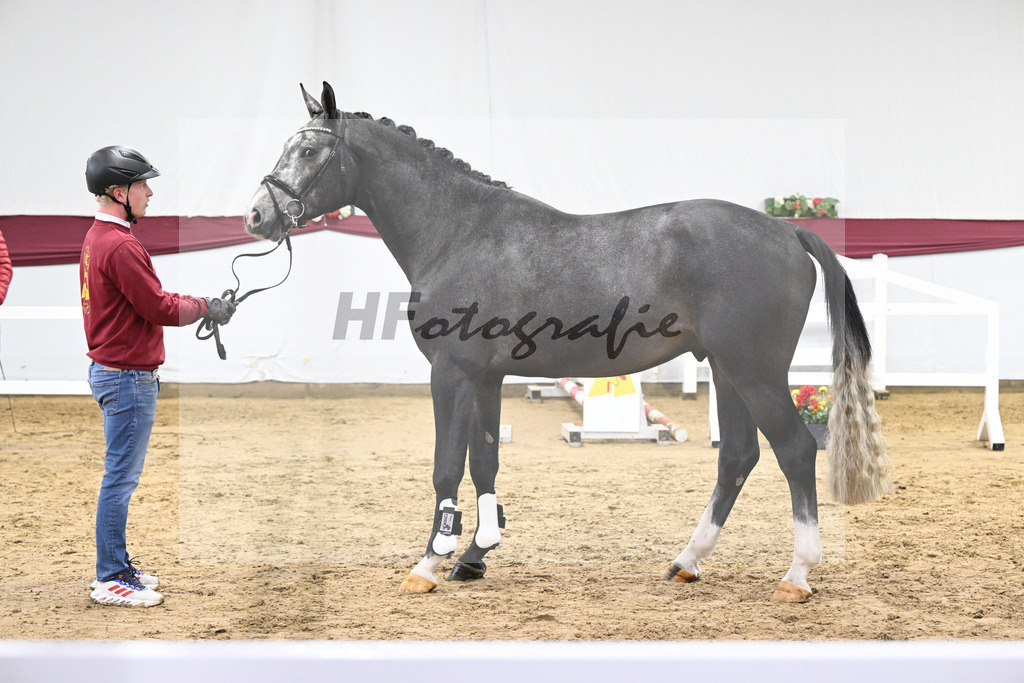 Kat-Nr. 71 Comilfo Plus Z x Casallco_PBM Pfefferle GmbH_47252832 | hf-fotografie - Realisiert mit Pictrs.com