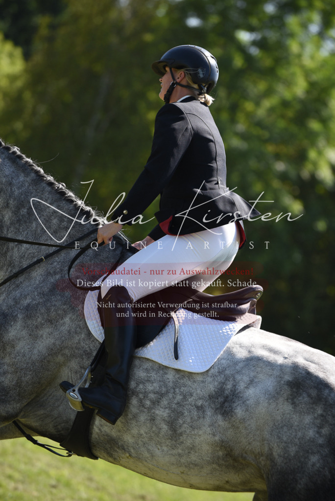 DSC_9538 | Pferde- und Turnierfotografie in Westsachsen. Pferdeportraits, Auftragszeichnungen und intuitive Kunst.
