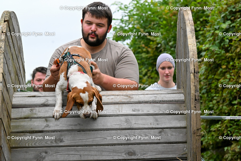 DSC_3646 | Hallo und herzlich Willkommen auf meiner Shop-Seite Fynn Most.

Ich wünsche Dir viel Spaß beim stöbern durch die Bilder, wenn Du Fragen hast oder Bilder vermisst, kannst du mir gerne eine Nachricht schreiben. - Realisiert mit Pictrs.com