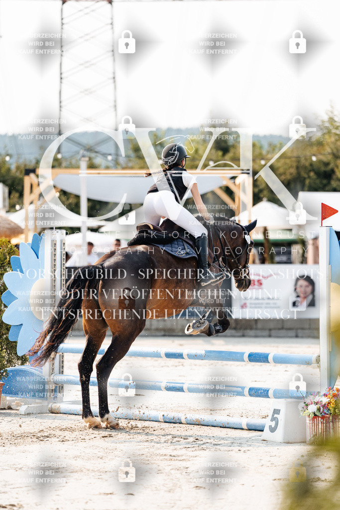 CK902788 | Turnierfotografie Pferdefotografie Trier Rheinland-Pfalz Pferdesport Reitsport Tierfotografie Sportfotografie Pferdevideo Pferdevideografie Equestrianvideography equestrianphotography  - Realisiert mit Pictrs.com