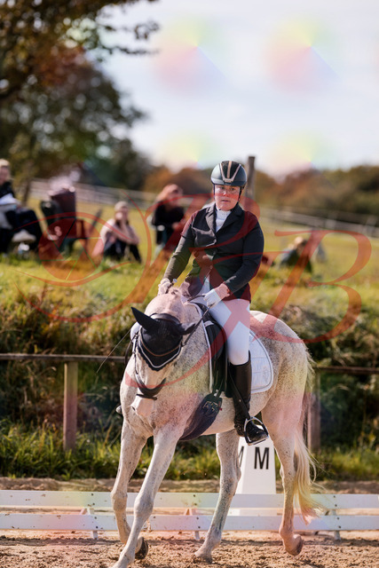 2026_10_03_Siefer-Hof_123016_Z81_29495090 | Professionelle Reitsport-, Turnier- und Eventfotografie von Robert Broda. Galerien mit ausgewählten und bearbeiteten Bildern direkt online ansehen und bestellen.