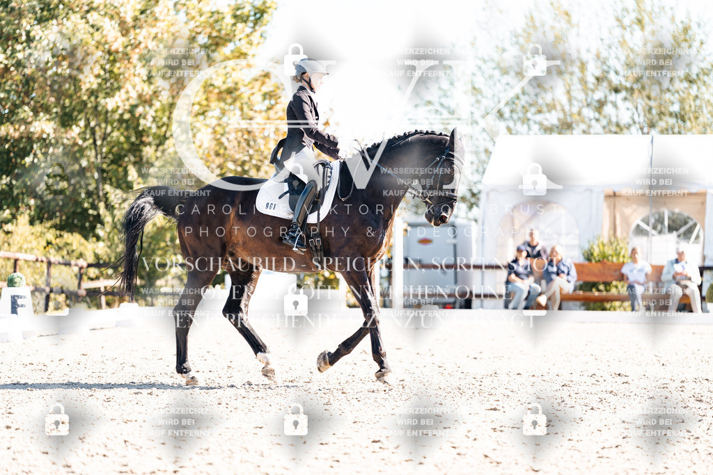 CK908917 | Turnierfotografie Pferdefotografie Trier Rheinland-Pfalz Pferdesport Reitsport Tierfotografie Sportfotografie Pferdevideo Pferdevideografie Equestrianvideography equestrianphotography  - Realisiert mit Pictrs.com