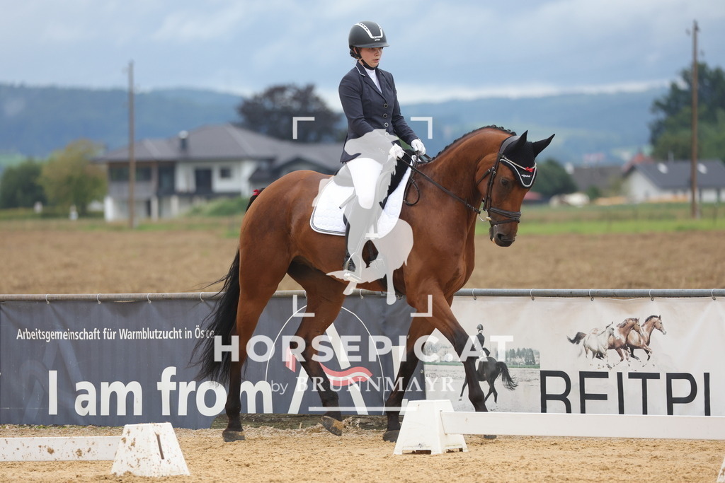 0P6A1420 | Willkommen bei Brunnmayr - Design & Fotografie – Ihrem Spezialisten für Reitturniere und Pferdeveranstaltungen in Oberösterreich, Salzburg und Bayern! Seit über 17 Jahren sind wir leidenschaftlich dabei.