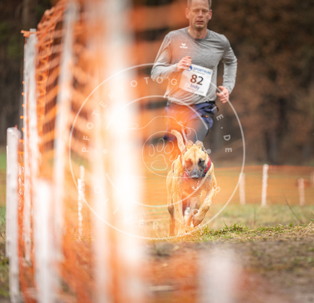 DV3A0347 | Hundefotografie, Tierfotograf, Pfotenfotografie, Fotoshooting Hund, Hunde Portrait, Hundesport, Hundeportraits, Heideshooting, Hunde, Sportfotograf, Hundefotograf, Turnierhundsport, THS,  - Realisiert mit Pictrs.com