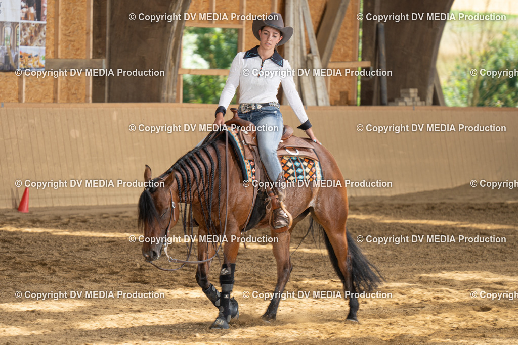 DSC00170 | dv-media-shop - Realisiert mit Pictrs.com