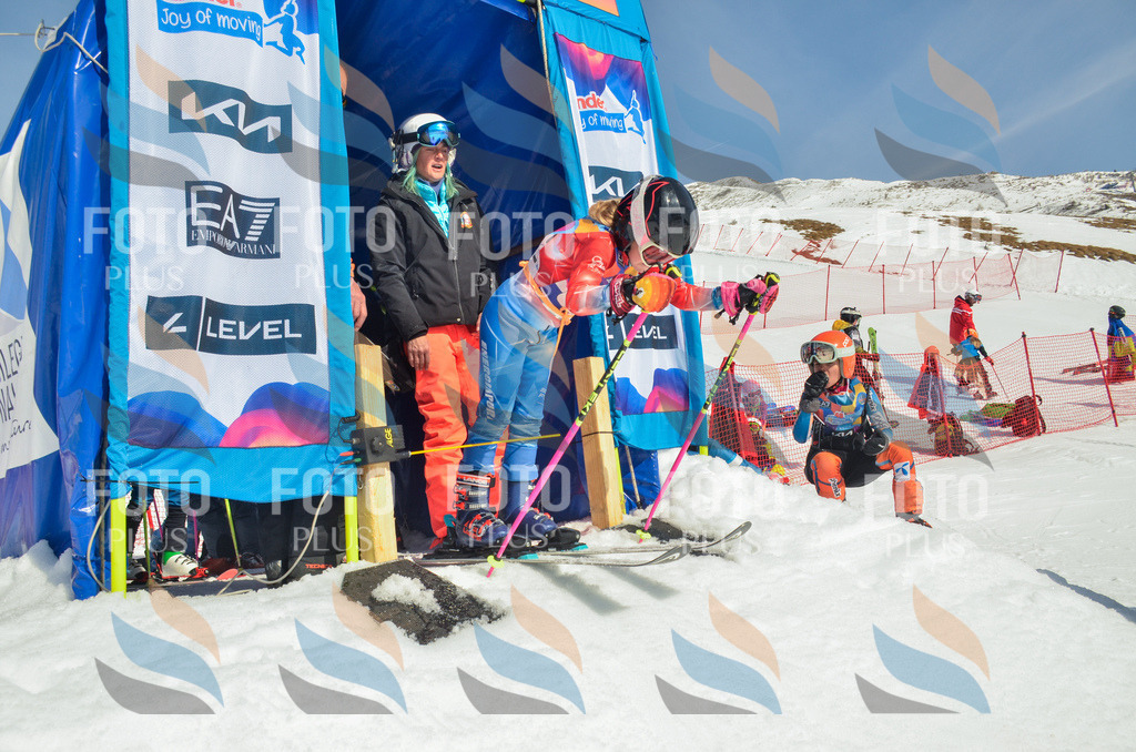 _ELE5169 | holidayphoto