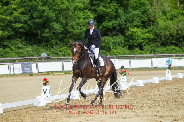 DKP45604 | Turniersportfotografie; Pferdefotografie; Dressurfotografie