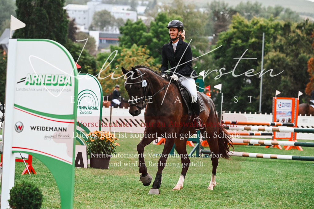 DSC_6407 | Pferde- und Turnierfotografie in Westsachsen. Pferdeportraits, Auftragszeichnungen und intuitive Kunst.