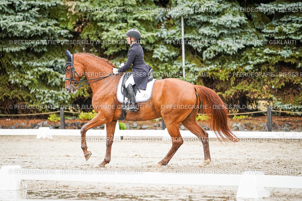 DSC09569 | Pferdegrafie